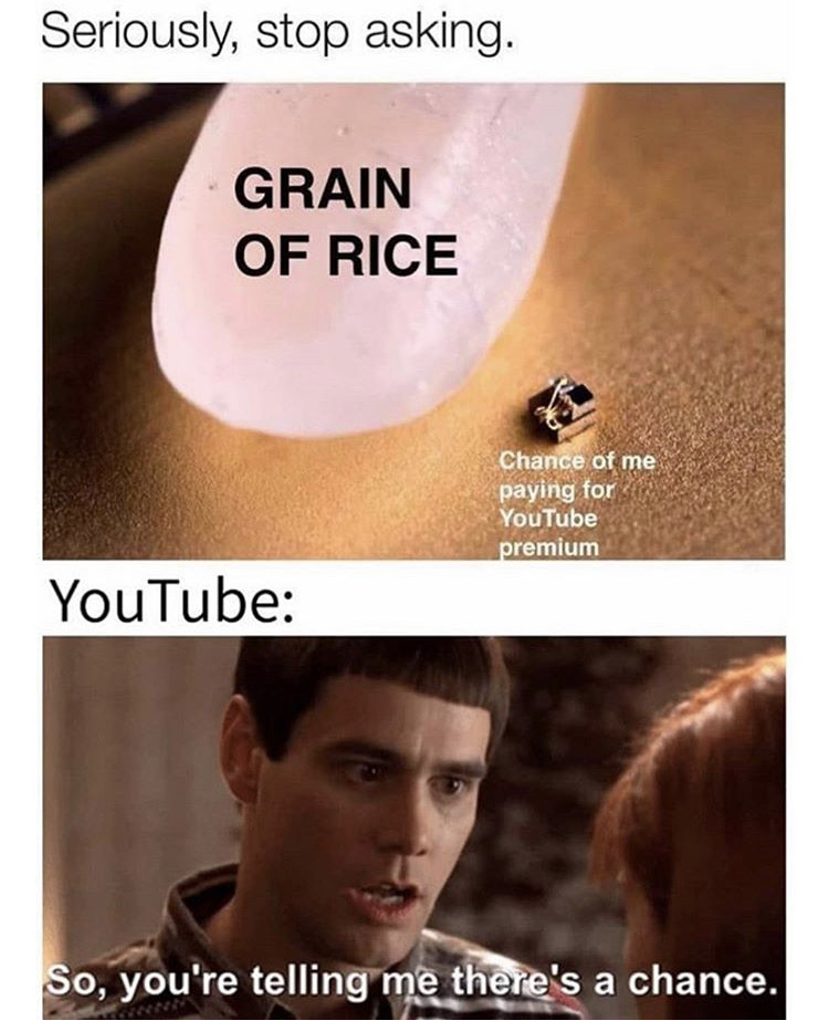 photo caption - Seriously, stop asking. Grain Of Rice Chance of me paying for YouTube premium YouTube So, you're telling me there's a chance.