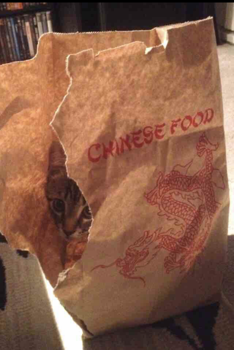 chinese food meme funny - Chinese Food