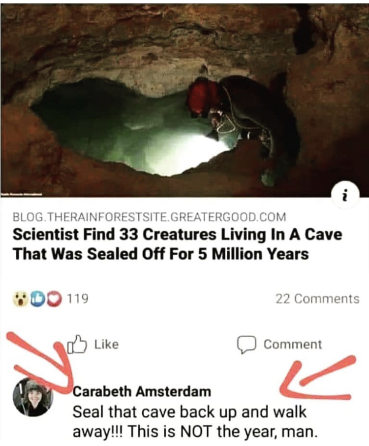 photo caption - Blog.Therainforestsite Greatergood.Com Scientist Find 33 Creatures Living In A Cave That Was Sealed Off For 5 Million Years 119 22 Comment Carabeth Amsterdam Seal that cave back up and walk away!!! This is Not the year, man.