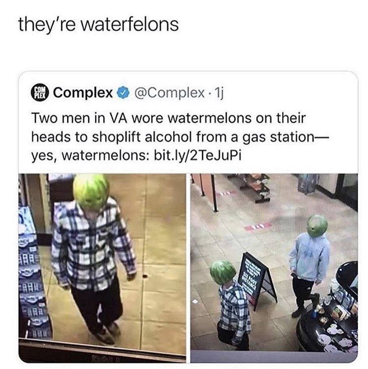 they're waterfelons From Complex . 1j Two men in Va wore watermelons on their heads to shoplift alcohol from a gas station yes, watermelons bit.ly2Tejupi Wa Fahr