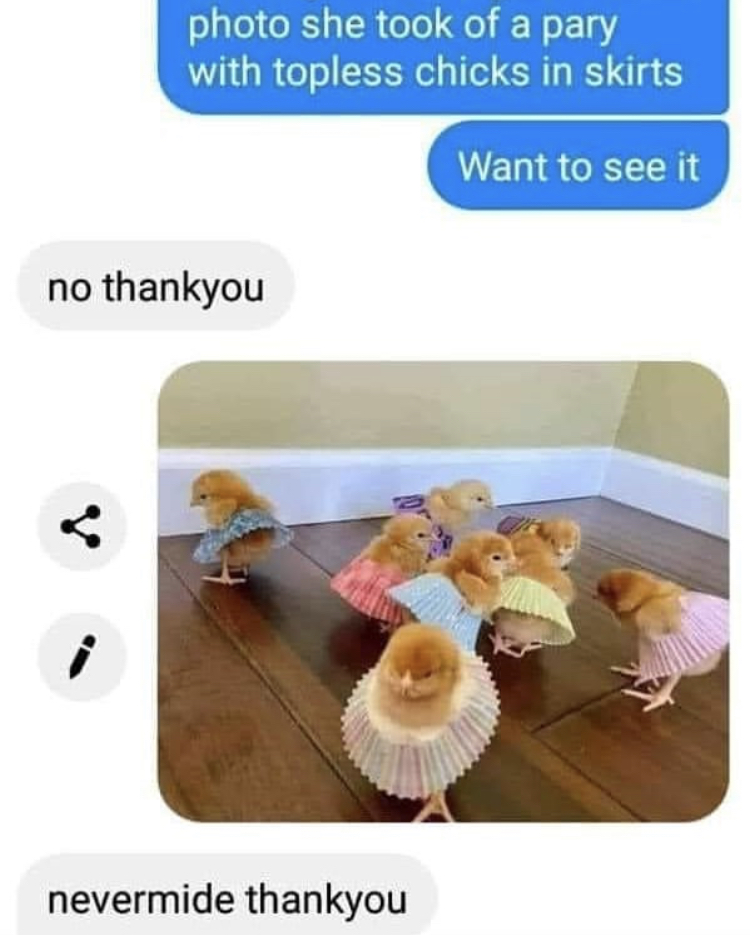 chicks wearing cupcake wrappers - photo she took of a pary with topless chicks in skirts Want to see it no thankyou Dt nevermide thankyou