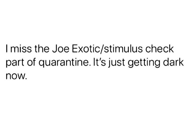 being left on read quotes - I miss the Joe Exoticstimulus check part of quarantine. It's just getting dark now.