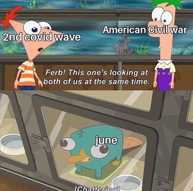 baby perry the platypus - American Civil war 2nd covid wave Ferb! This one's looking at both of us at the same time. june Chatterinar