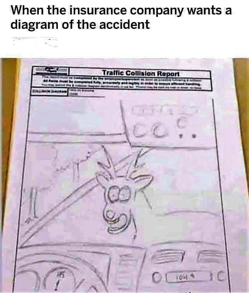 deer insurance meme - When the insurance company wants a diagram of the accident Trallic Collision Report Toh c