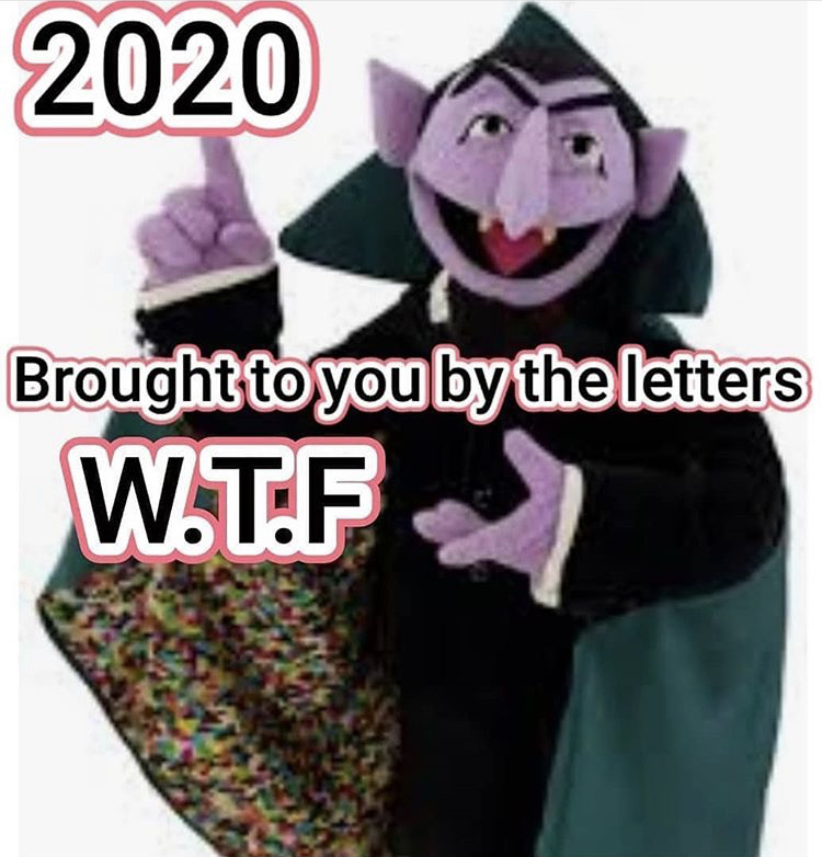 count von count - 2020 Brought to you by the letters W.T.F.
