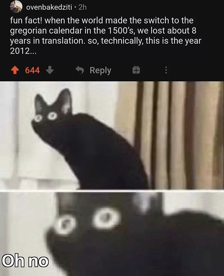 oh no meme black cat - ovenbakedziti 2h fun fact! when the world made the switch to the gregorian calendar in the 1500's, we lost about 8 years in translation. so, technically, this is the year 2012... 644 Te O Oh no