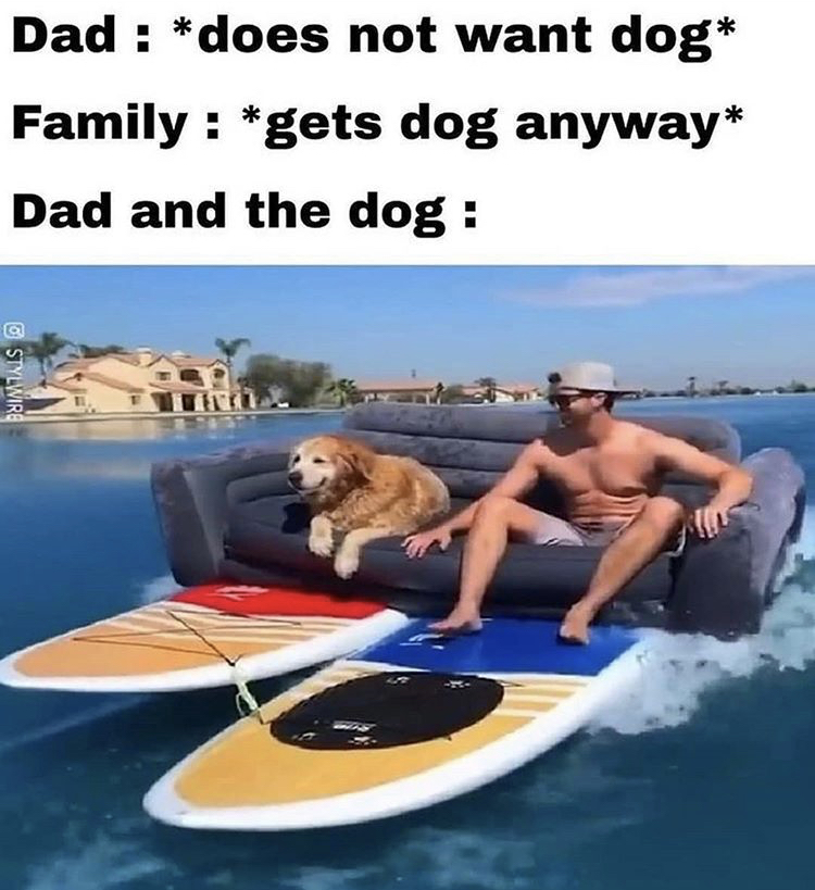 Internet meme - Dad does not want dog Family gets dog anyway Dad and the dog Stylwire