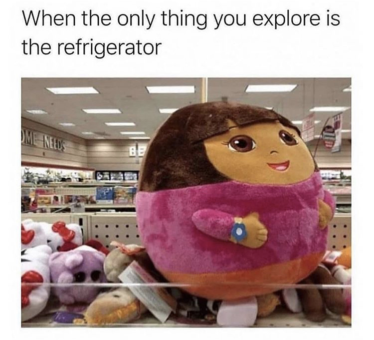 dora the explorer meme - When the only thing you explore is the refrigerator Ml Needs Ble