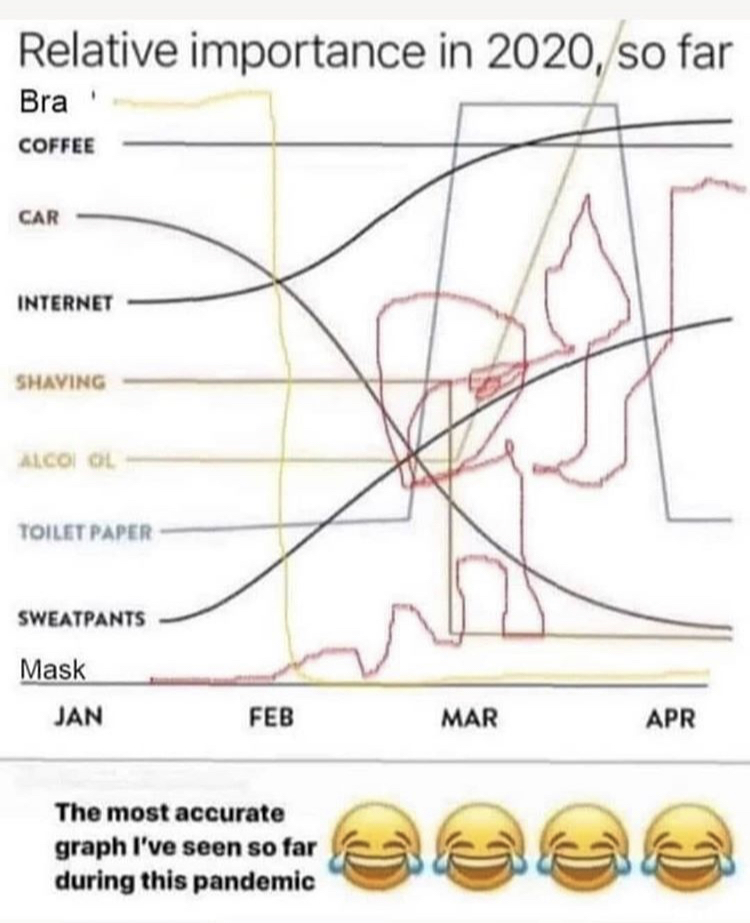 Photograph - Relative importance in 2020, so far Bra Coffee Car Internet Shaving Alcool Toilet Paper Sweatpants Mask Jan Feb Mar Apr The most accurate graph I've seen so far during this pandemic