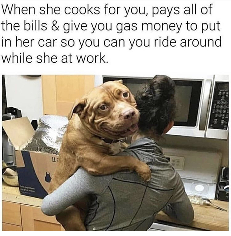 she pay the bills meme - When she cooks for you, pays all of the bills & give you gas money to put in her car so you can you ride around while she at work. 1 11