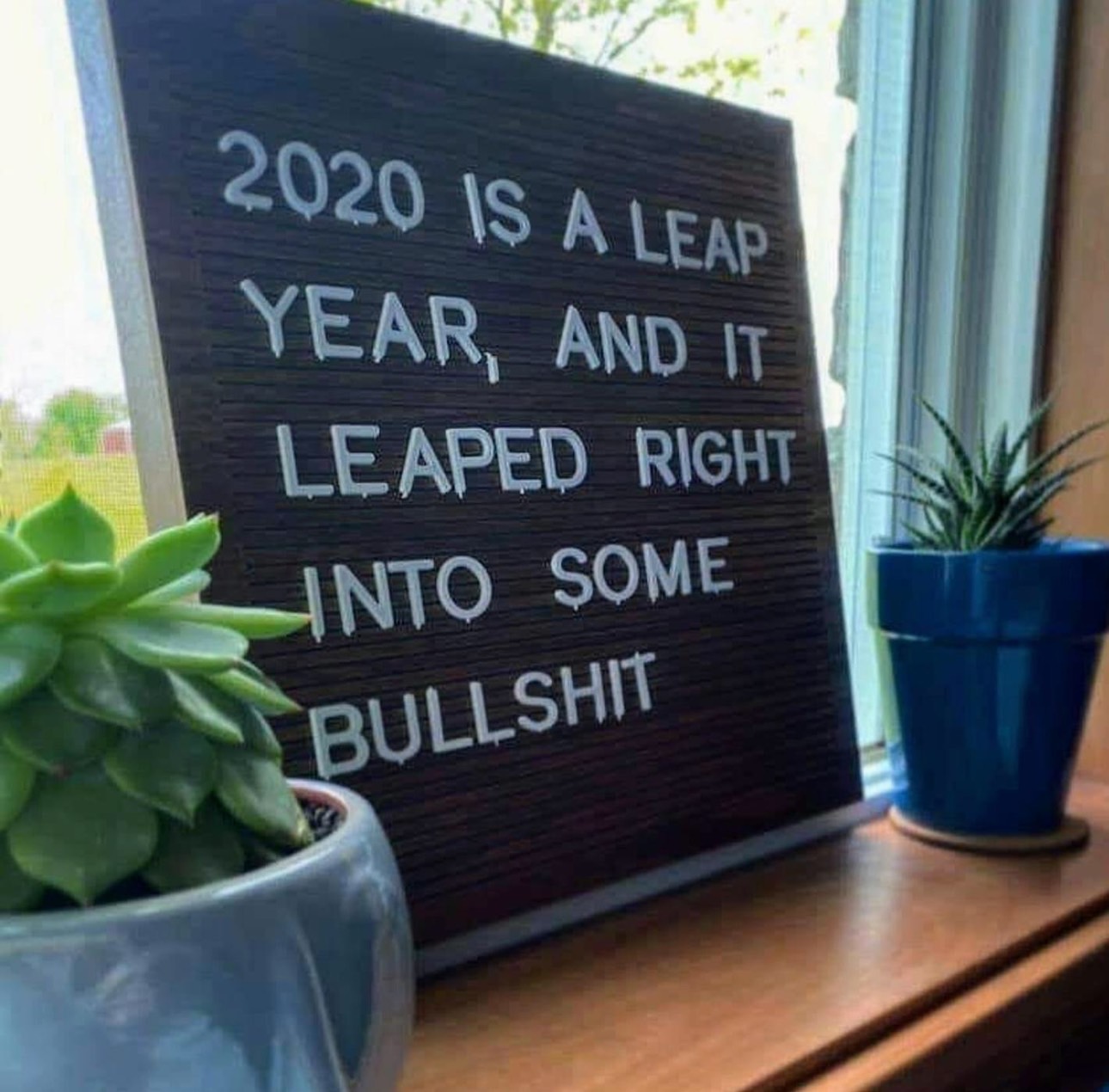 tree - 2020 Is A Leap Year, And It Leaped Right Anto Some Bullshit