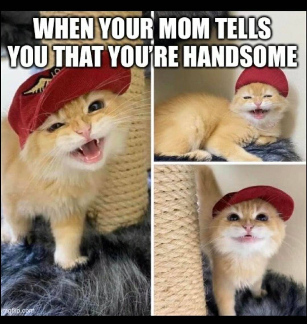 funny memes - When Your Mom Tells You That You'Re Handsome imgflip.com
