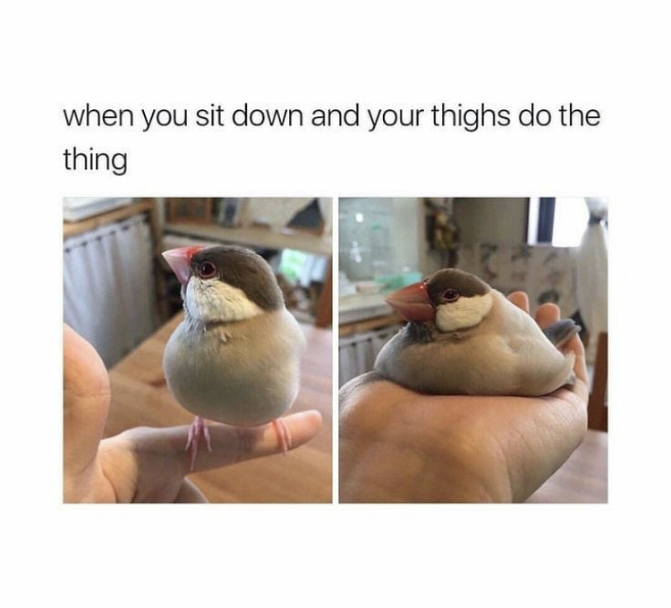 you sit down and your thighs do - when you sit down and your thighs do the thing