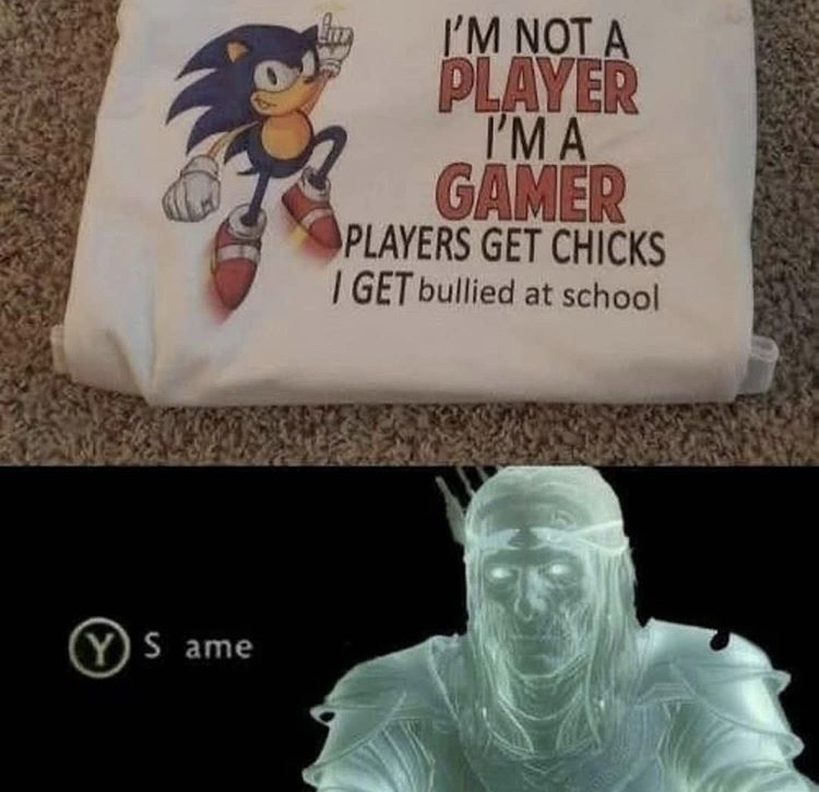 shame same meme - I'M Not A Player I'M A Gamer Players Get Chicks I Get bullied at school Y S ame