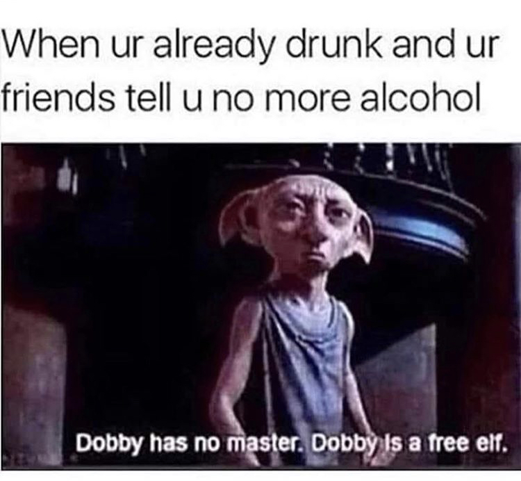 trending memes now - When ur already drunk and ur friends tell u no more alcohol Dobby has no master. Dobby is a free elf.