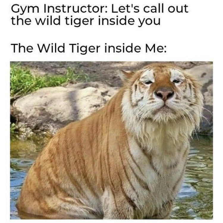 tiger inside me meme - Gym Instructor Let's call out the wild tiger inside you The Wild Tiger inside Me