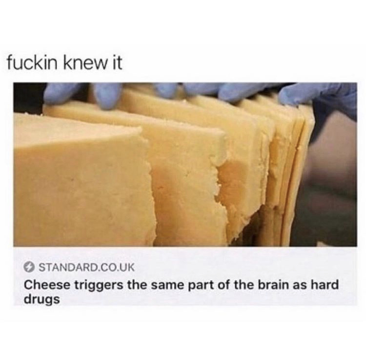 cheese addiction meme - fuckin knew it Standard.Co.Uk Cheese triggers the same part of the brain as hard drugs