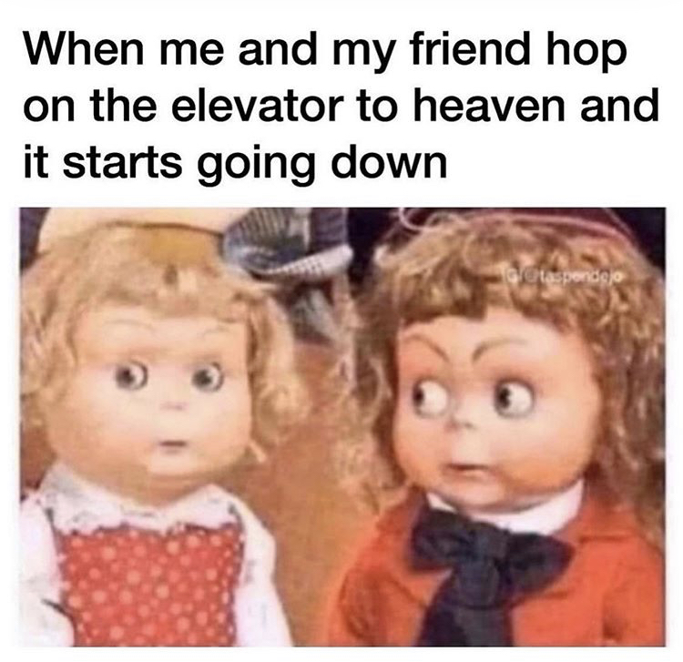other organs in my body meme - When me and my friend hop on the elevator to heaven and it starts going down Glaspends