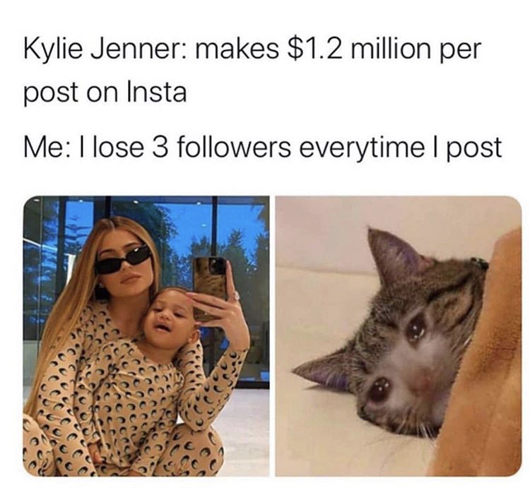 cat cute reaction - Kylie Jenner makes $1.2 million per post on Insta Me I lose 3 ers everytime I post