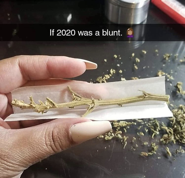 nail - If 2020 was a blunt.