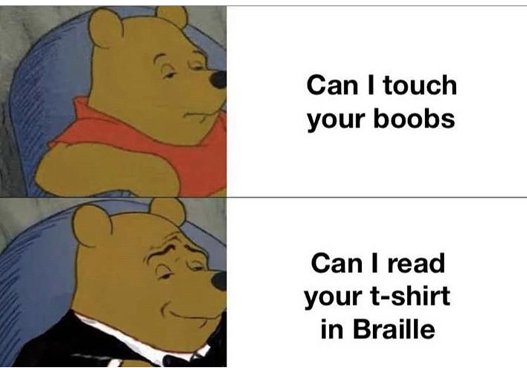 winnie the pooh meme - Can I touch your boobs Can I read your tshirt in Braille