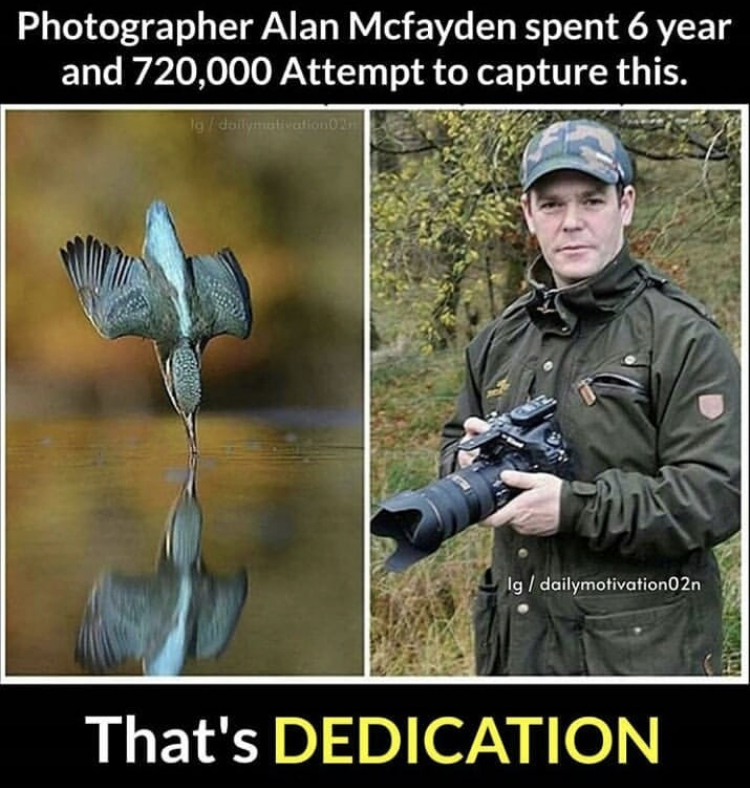 Photographer Alan Mcfayden spent 6 year and 720,000 Attempt to capture this. Igdailymotivation02n That's Dedication