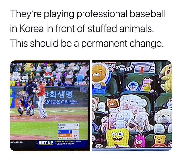 games - They're playing professional baseball in Korea in front of stuffed animals. This should be a permanent change. 2016. Ges Enon 13 Nc Kansio 16 Or Now At ostseason