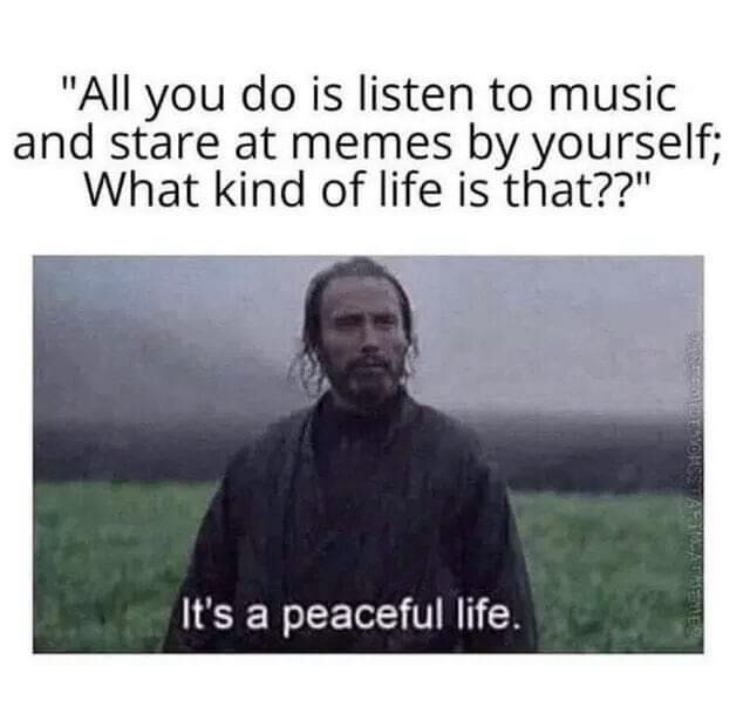 it's a peaceful life - "All you do is listen to music and stare at memes by yourself; What kind of life is that??" It's a peaceful life.