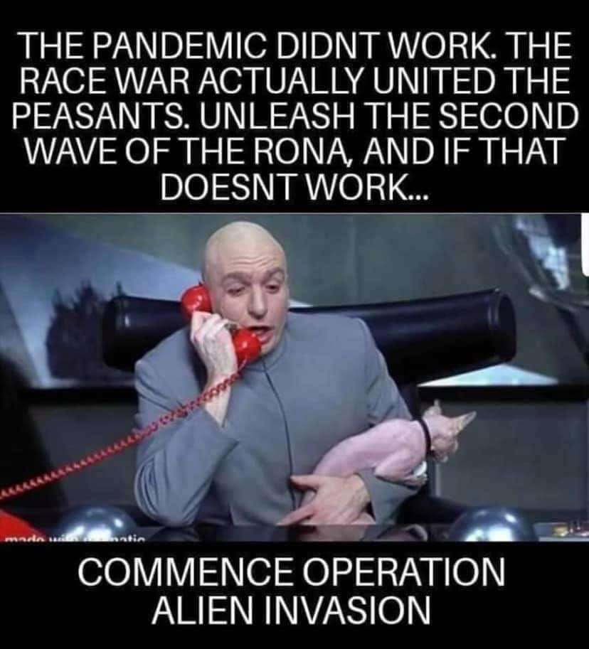 release the hornets meme - The Pandemic Didnt Work. The Race War Actually United The Peasants. Unleash The Second Wave Of The Rona, And If That Doesnt Work... sten Commence Operation Alien Invasion