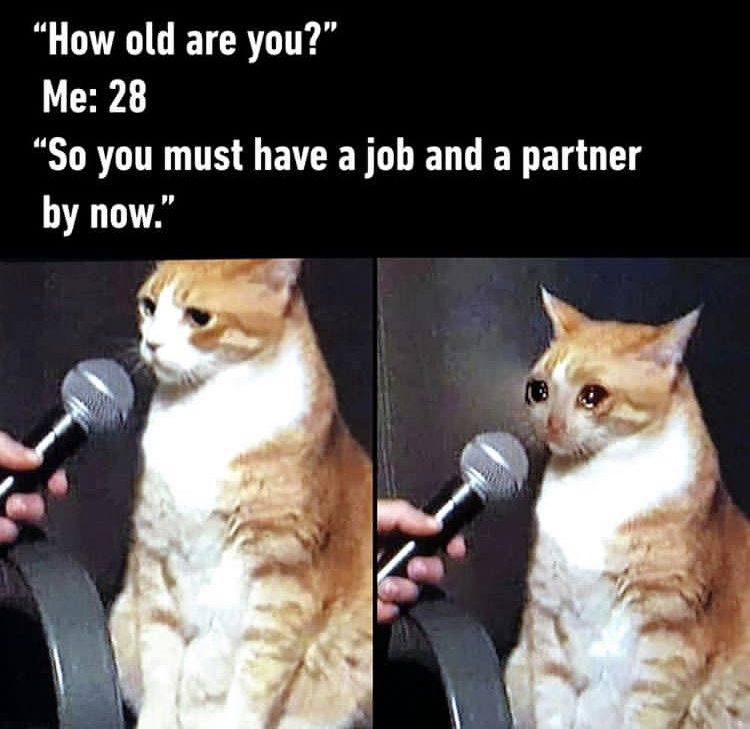 crying cat interview meme - "How old are you?" Me 28 So you must have a job and a partner by now."