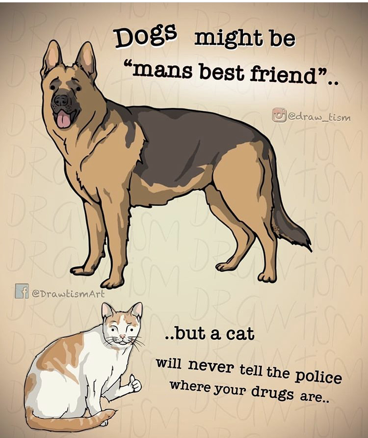 fauna - Dogs might be "mans best friend.. gedraw_tism If Drawttemare ..but a cat will never tell the police where your drugs are..