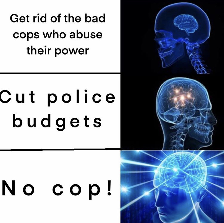 big brain meme - Get rid of the bad cops who abuse their power Cut police budgets No cop!