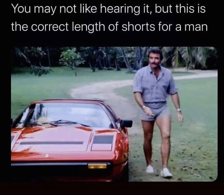 tom selleck meme - You may not hearing it, but this is the correct length of shorts for a man