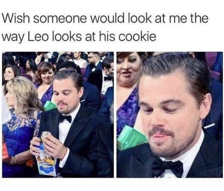you had my curiosity but now you have my attention - Wish someone would look at me the way Leo looks at his cookie