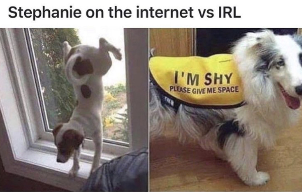 Stephanie on the internet vs Irl I'M Shy Please Give Me Space