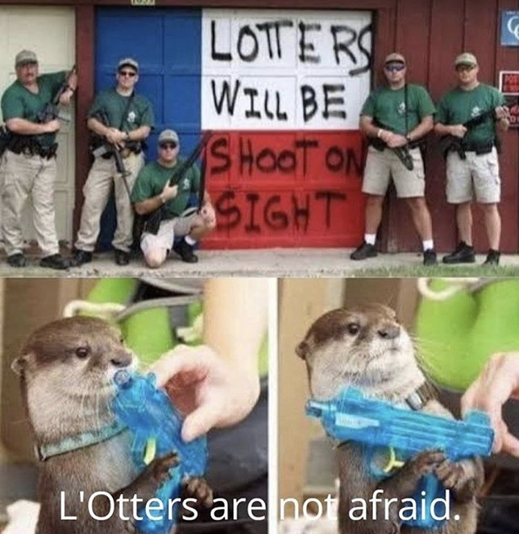 lotters meme - Lotters Will Be ShootON Sight L'Otters are not afraid.