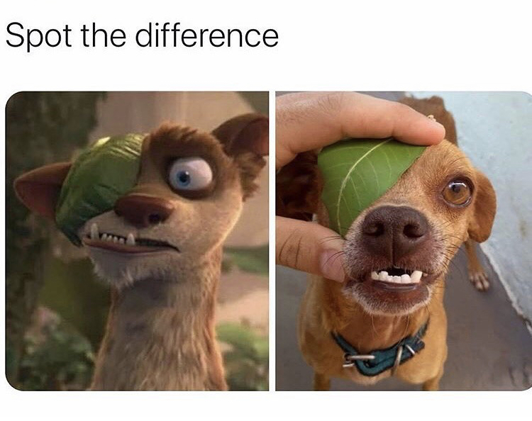 buck in ice age - Spot the difference