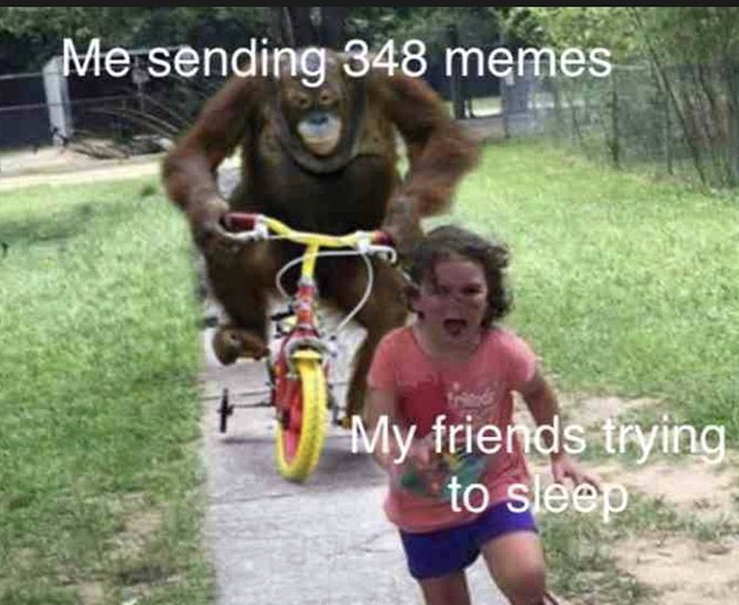 orang utan bike meme - Me sending 348 memes My friends trying to sleep