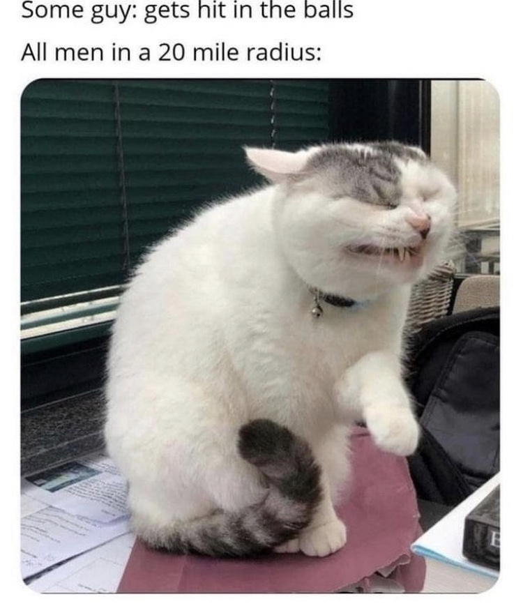 coronavirus cat meme - Some guy gets hit in the balls All men in a 20 mile radius B