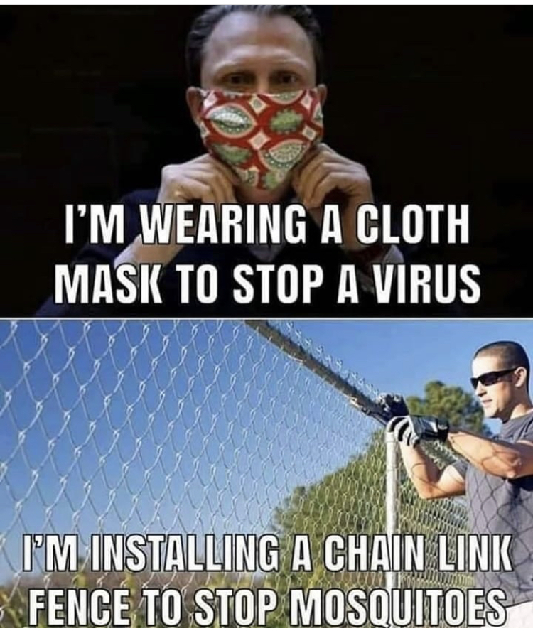 chain link fence to stop mosquitoes meme - I'M Wearing A Cloth Mask To Stop A Virus I'M Installing A Chain Link Fence To Stop Mosquitoes