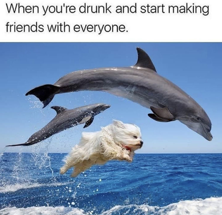 drunk memes - When you're drunk and start making friends with everyone.