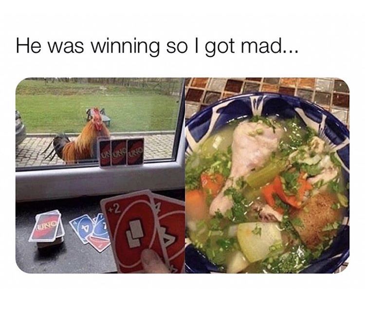 meal - He was winning so I got mad... osudu 2 Uno