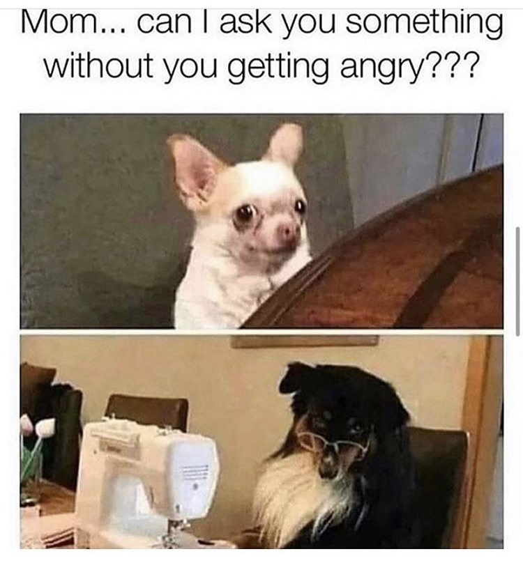 mom dog meme - Mom... can I ask you something without you getting angry???