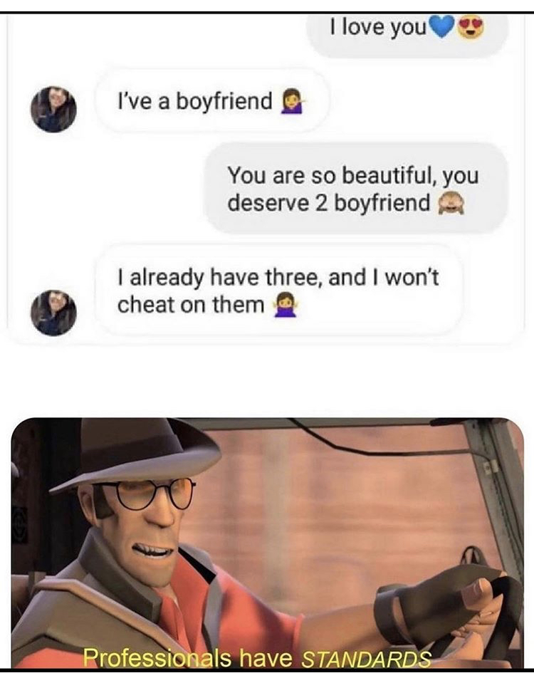 me on valentines day meme - I love you I've a boyfriend You are so beautiful, you deserve 2 boyfriend I already have three, and I won't cheat on them Professionals have Standards