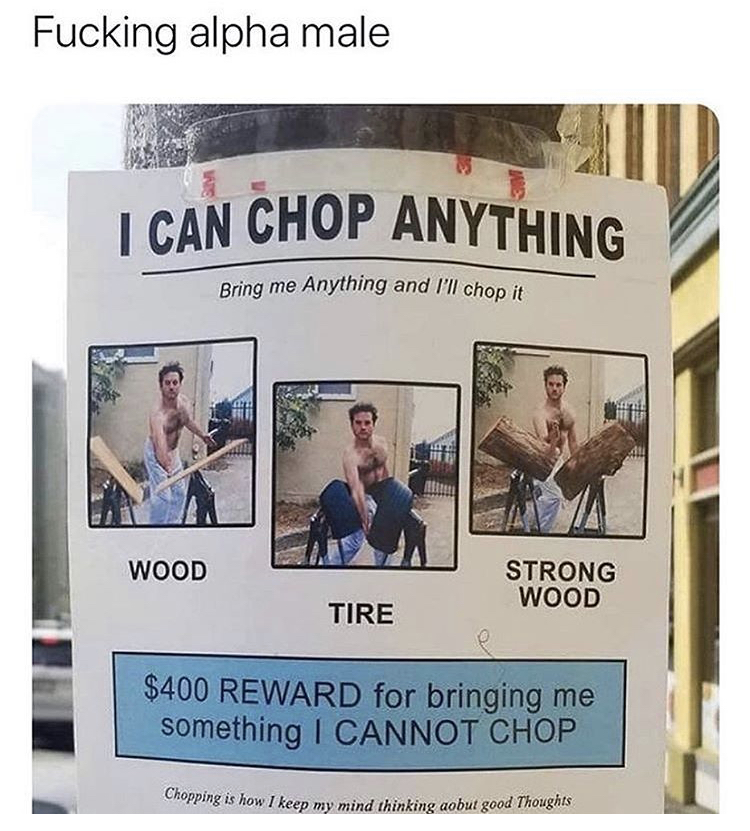 northernlion judo chop - I Can Chop Anything Bring me Anything and I'll chop it Copping is how I keep my mind thinking about good Thoughts Fucking alpha male Wood Strong Wood Tire $400 Reward for bringing me something I Cannot Chop