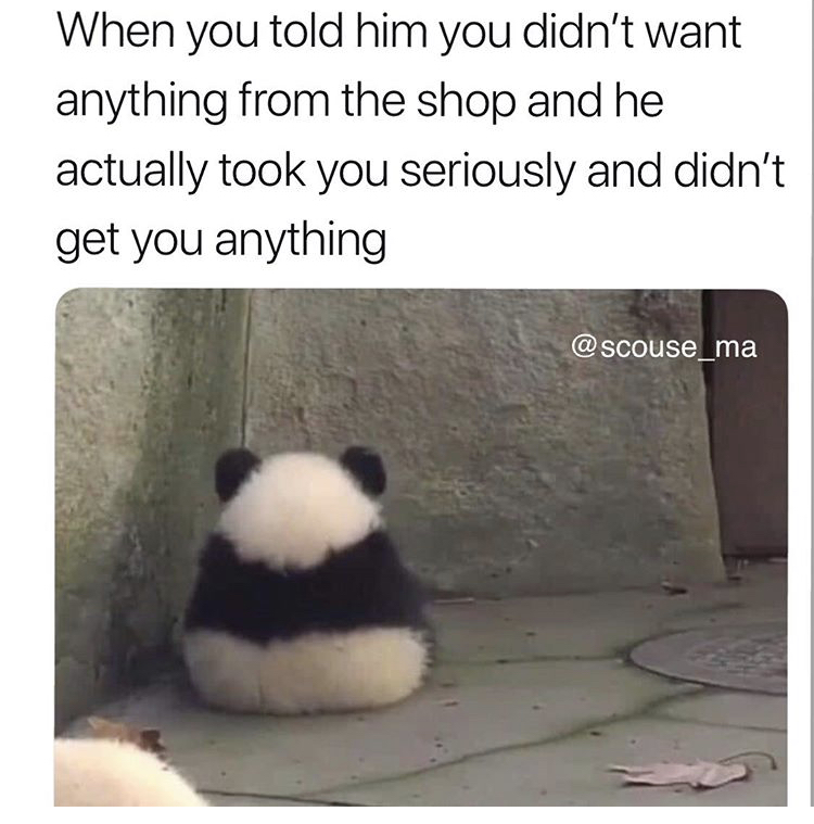 giant panda - When you told him you didn't want anything from the shop and he actually took you seriously and didn't get you anything