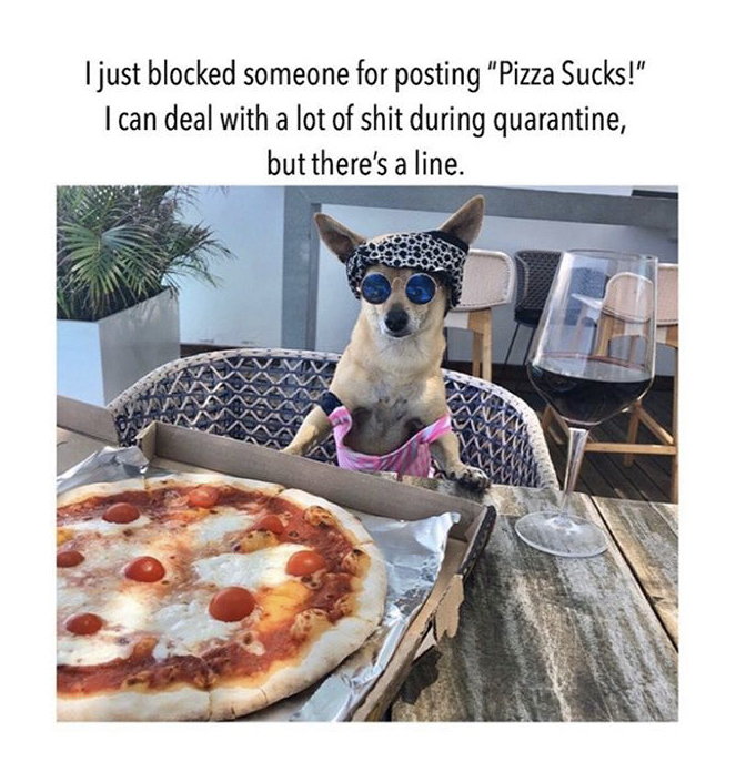 dog - I just blocked someone for posting "Pizza Sucks!" I can deal with a lot of shit during quarantine, but there's a line.