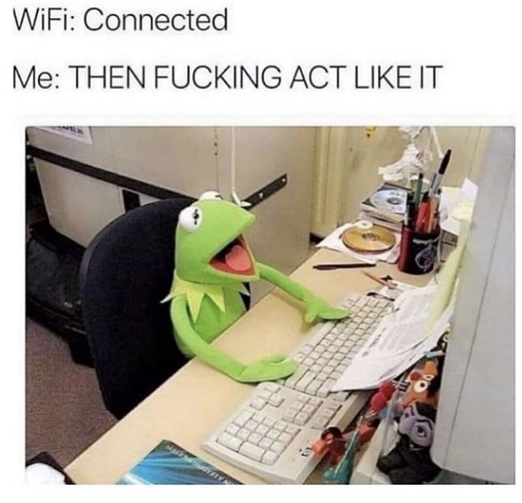 kermit the frog - WiFi Connected Me Then Fucking Act It e M