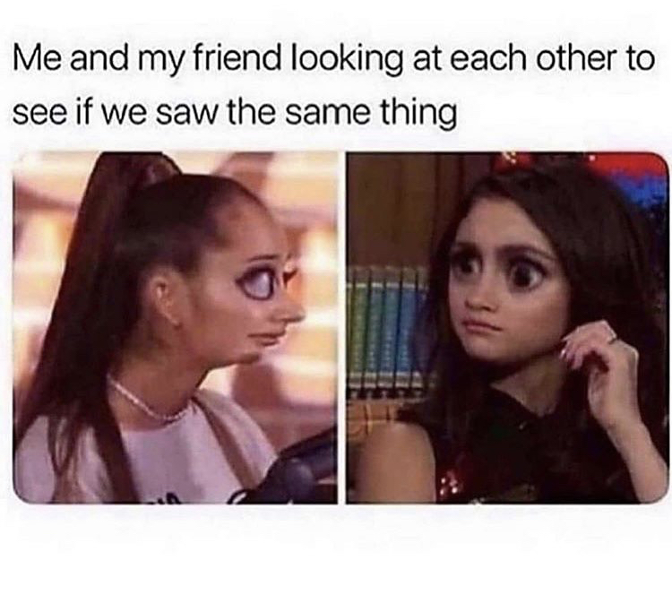funny memes - Me and my friend looking at each other to see if we saw the same thing