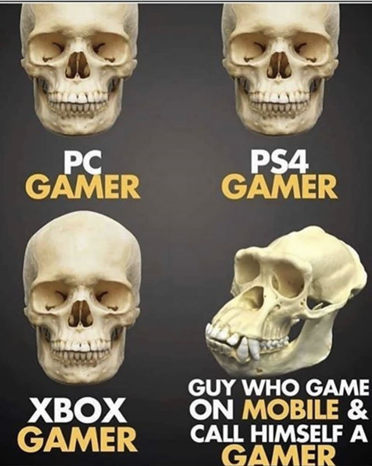 mobile gamers meme - Pc Gamer PS4 Gamer Xbox Gamer Guy Who Game On Mobile & Call Himself A Gamer